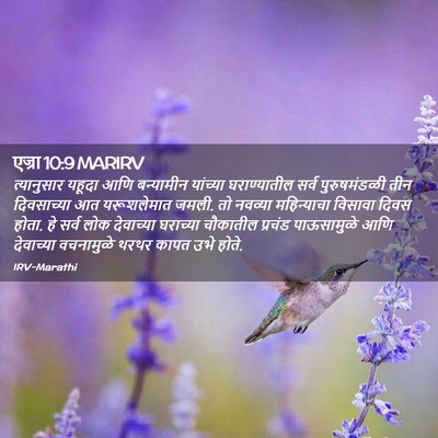 Picture 02 - एज्रा 10:9 MARIRV - त्यानुसार यहूदा - Bible Verse Picture