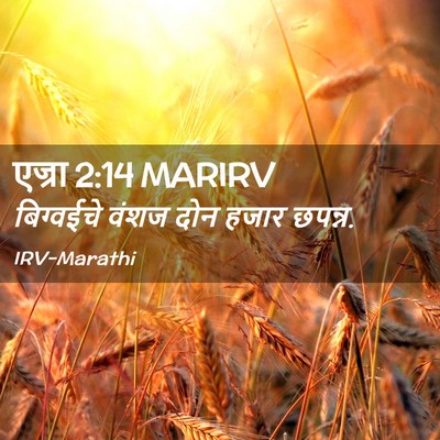 Picture 02 - एज्रा 2:14 MARIRV - बिग्वईचे वंशज दोन - Bible Verse Picture