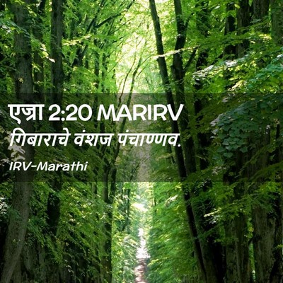 Picture 02 - एज्रा 2:20 MARIRV - गिबाराचे वंशज - Bible Verse Picture