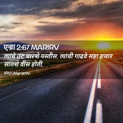 Picture 02 - एज्रा 2:67 MARIRV - त्यांचे उंट चारशे - Bible Verse Picture