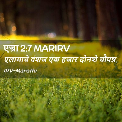 Picture 02 - एज्रा 2:7 MARIRV - एलामाचे वंशज एक - Bible Verse Picture