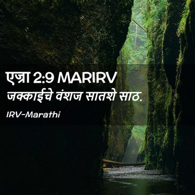 Picture 02 - एज्रा 2:9 MARIRV - जक्काईचे वंशज - Bible Verse Picture
