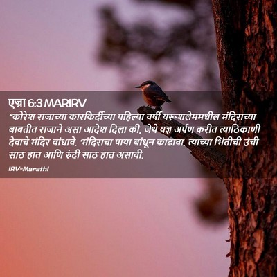 Picture 02 - एज्रा 6:3 MARIRV - “कोरेश राजाच्या - Bible Verse Picture