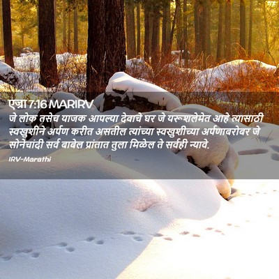 Picture 02 - एज्रा 7:16 MARIRV - जे लोक तसेच याजक - Bible Verse Picture