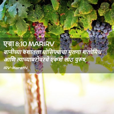 Picture 02 - एज्रा 8:10 MARIRV - बानीच्या वंशातला - Bible Verse Picture