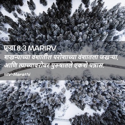 Picture 02 - एज्रा 8:3 MARIRV - शखन्याच्या - Bible Verse Picture