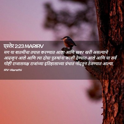 Picture 02 - एस्तेर 2:23 MARIRV - मग या बातमीचा तपास - Bible Verse Picture