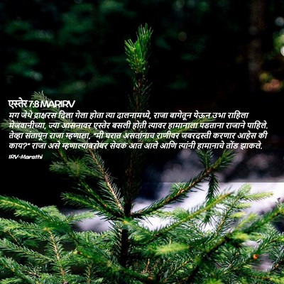 Picture 02 - एस्तेर 7:8 MARIRV - मग जेथे द्राक्षरस - Bible Verse Picture