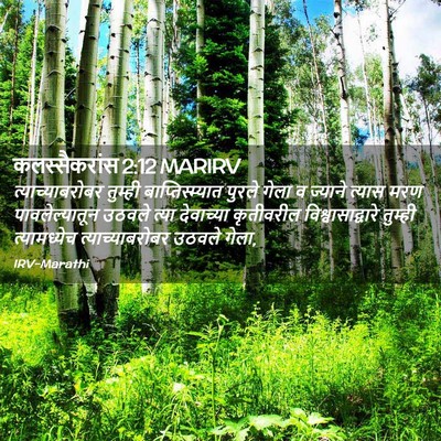 Picture 02 - कलस्सैकरांस 2:12 MARIRV - त्याच्याबरोबर - Bible Verse Picture
