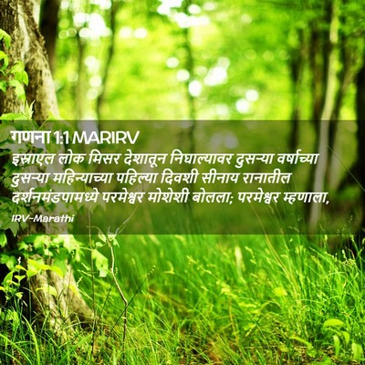 Picture 02 - गणना 1:1 MARIRV - इस्राएल लोक मिसर - Bible Verse Picture