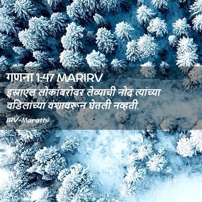 Picture 02 - गणना 1:47 MARIRV - इस्राएल - Bible Verse Picture