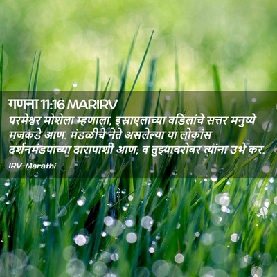 Picture 02 - गणना 11:16 MARIRV - परमेश्वर मोशेला - Bible Verse Picture