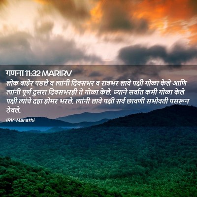 Picture 02 - गणना 11:32 MARIRV - लोक बाहेर पडले व - Bible Verse Picture