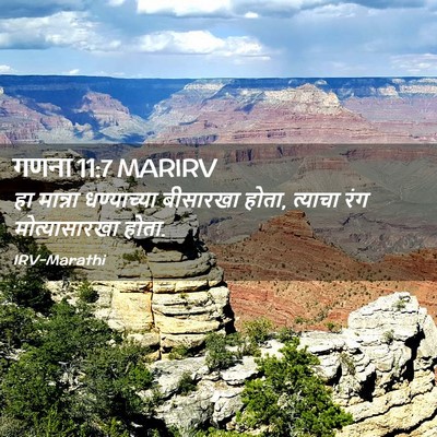 Picture 02 - गणना 11:7 MARIRV - हा मान्ना - Bible Verse Picture