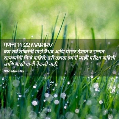 Picture 02 - गणना 14:22 MARIRV - ज्या सर्व लोकांनी - Bible Verse Picture