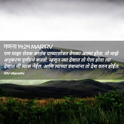 Picture 02 - गणना 14:24 MARIRV - पण माझा सेवक कालेब - Bible Verse Picture