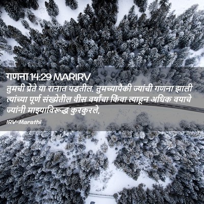 Picture 02 - गणना 14:29 MARIRV - तुमची प्रेते या - Bible Verse Picture