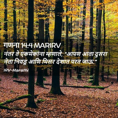 Picture 02 - गणना 14:4 MARIRV - नंतर ते एकमेकांना - Bible Verse Picture