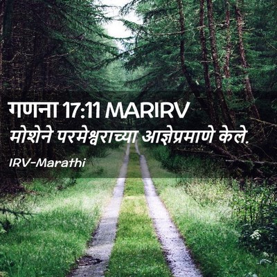 Picture 02 - गणना 17:11 MARIRV - मोशेने - Bible Verse Picture