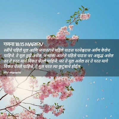 Picture 02 - गणना 18:15 MARIRV - स्त्रीचे पहिले - Bible Verse Picture