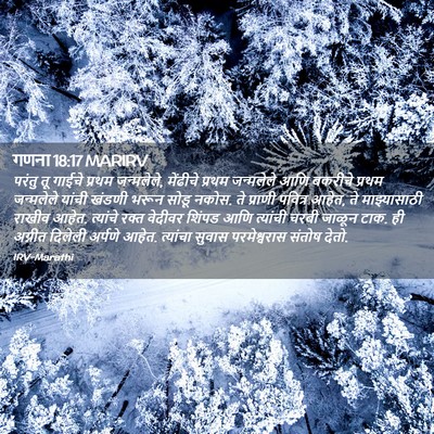 Picture 02 - गणना 18:17 MARIRV - परंतु तू गाईचे - Bible Verse Picture