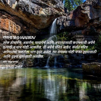 Picture 02 - गणना 18:9 MARIRV - लोक होमार्पण, - Bible Verse Picture