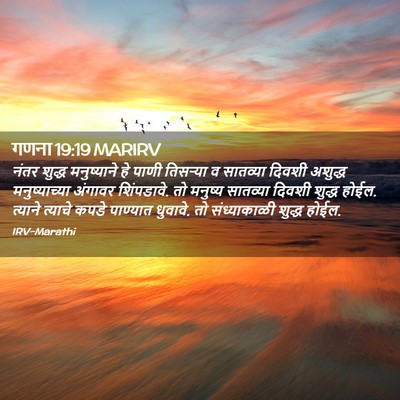 Picture 02 - गणना 19:19 MARIRV - नंतर शुद्ध - Bible Verse Picture