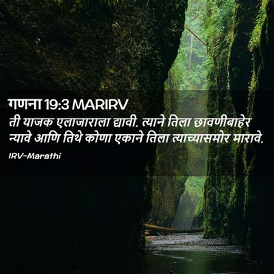 Picture 02 - गणना 19:3 MARIRV - ती याजक एलाजाराला - Bible Verse Picture