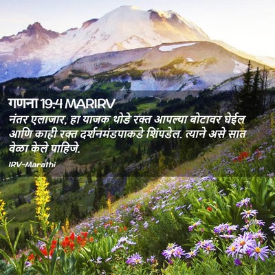 Picture 02 - गणना 19:4 MARIRV - नंतर एलाजार, हा - Bible Verse Picture