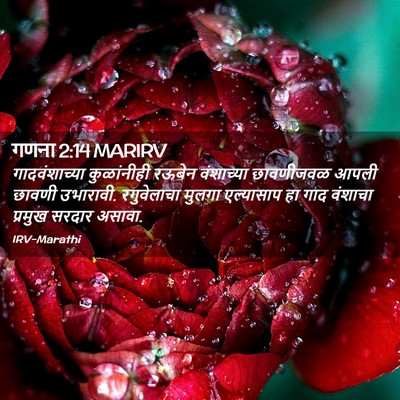 Picture 02 - गणना 2:14 MARIRV - गादवंशाच्या - Bible Verse Picture