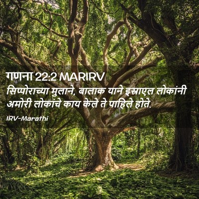 Picture 02 - गणना 22:2 MARIRV - सिप्पोराच्या - Bible Verse Picture
