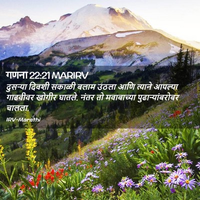 Picture 02 - गणना 22:21 MARIRV - दुसऱ्या दिवशी - Bible Verse Picture