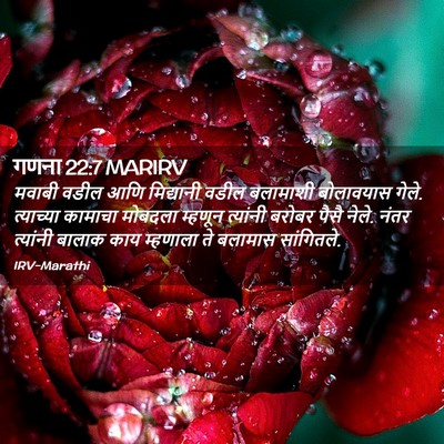 Picture 02 - गणना 22:7 MARIRV - मवाबी वडील आणि - Bible Verse Picture