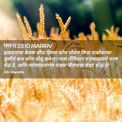 Picture 02 - गणना 23:10 MARIRV - इस्राएलाचा केवळ - Bible Verse Picture
