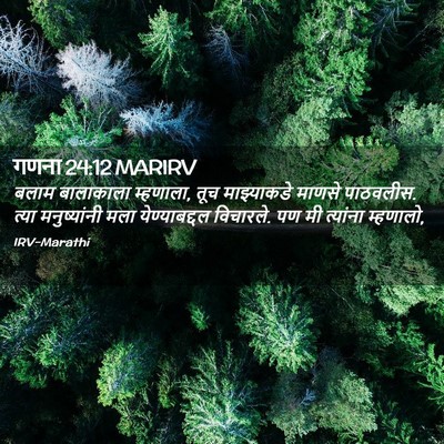 Picture 02 - गणना 24:12 MARIRV - बलाम बालाकाला - Bible Verse Picture