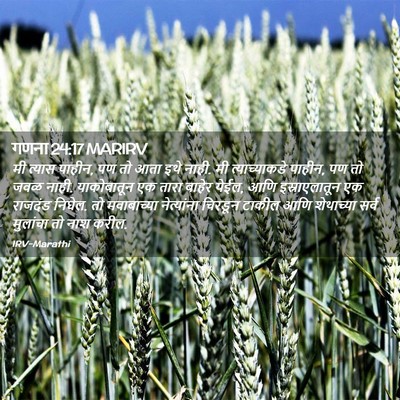 Picture 02 - गणना 24:17 MARIRV - मी त्यास पाहीन, पण - Bible Verse Picture