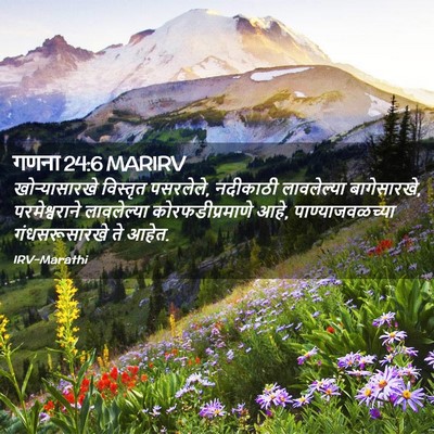 Picture 02 - गणना 24:6 MARIRV - खोऱ्यासारखे - Bible Verse Picture