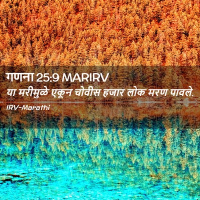 Picture 02 - गणना 25:9 MARIRV - या मरीमुळे एकून - Bible Verse Picture