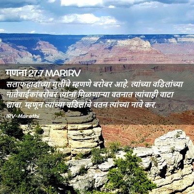 Picture 02 - गणना 27:7 MARIRV - सलाफहादाच्या - Bible Verse Picture