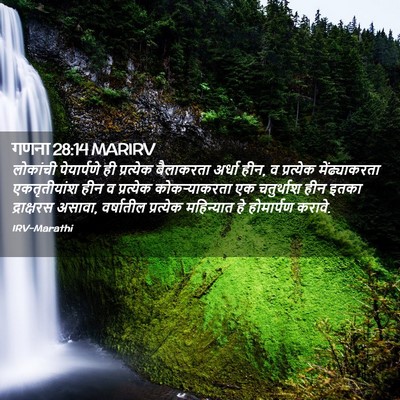 Picture 02 - गणना 28:14 MARIRV - लोकांची पेयार्पणे - Bible Verse Picture