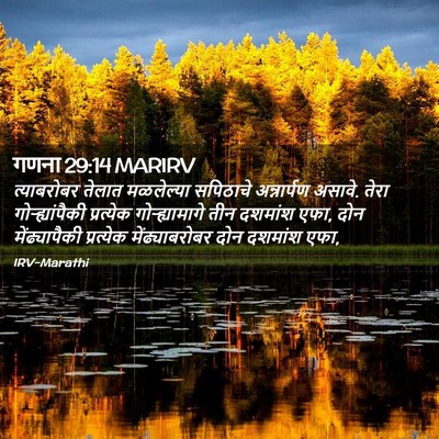 Picture 02 - गणना 29:14 MARIRV - त्याबरोबर तेलात - Bible Verse Picture