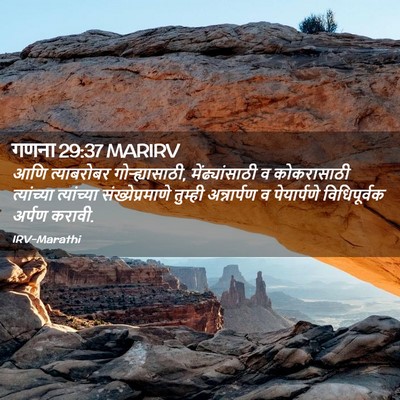 Picture 02 - गणना 29:37 MARIRV - आणि त्याबरोबर - Bible Verse Picture
