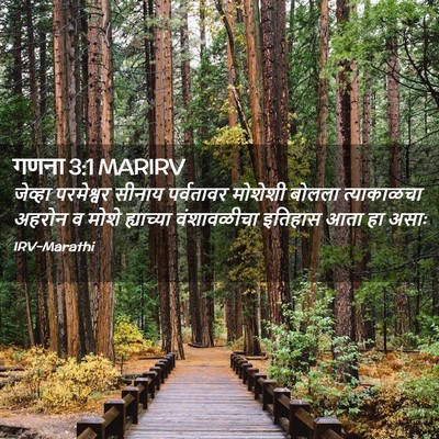 Picture 02 - गणना 3:1 MARIRV - जेव्हा परमेश्वर - Bible Verse Picture