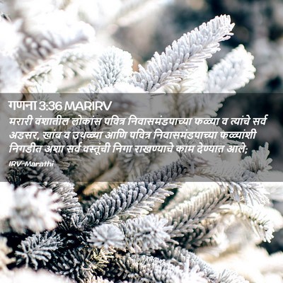 Picture 02 - गणना 3:36 MARIRV - मरारी वंशातील - Bible Verse Picture