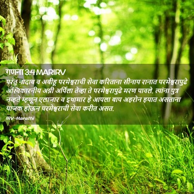 Picture 02 - गणना 3:4 MARIRV - परंतु नादाब व - Bible Verse Picture