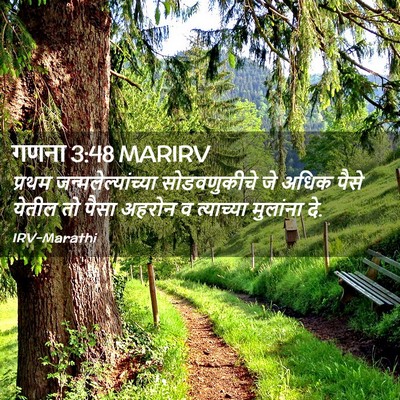 Picture 02 - गणना 3:48 MARIRV - प्रथम - Bible Verse Picture