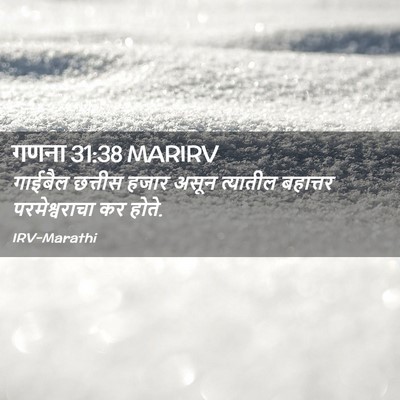 Picture 02 - गणना 31:38 MARIRV - गाईबैल छत्तीस - Bible Verse Picture