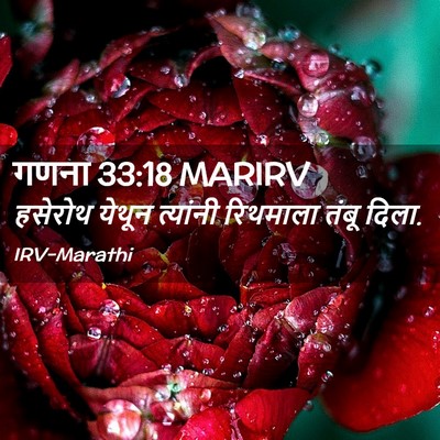 Picture 02 - गणना 33:18 MARIRV - हसेरोथ येथून - Bible Verse Picture