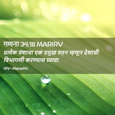 Picture 02 - गणना 34:18 MARIRV - प्रत्येक वंशाचा - Bible Verse Picture