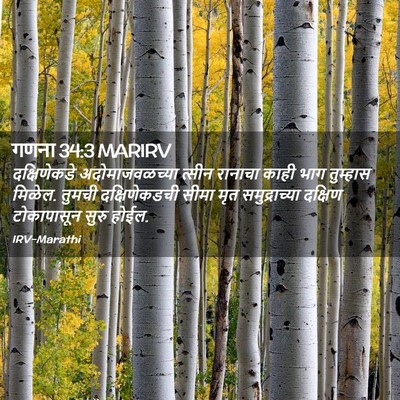 Picture 02 - गणना 34:3 MARIRV - दक्षिणेकडे - Bible Verse Picture
